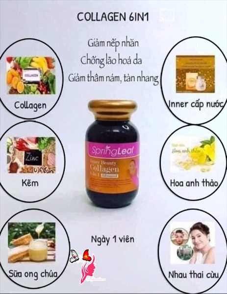 vien-uong-collagen-tong-hop-6-in-1-spring-leaf-inner-beauty-cua-uc4