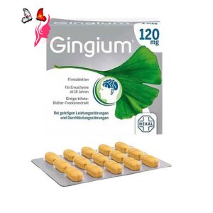 vien-uong-bo-nao-gingium-120mg-hexal-120-vien-cua-duc4